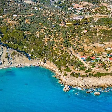 فيلة Mehmet 6 *